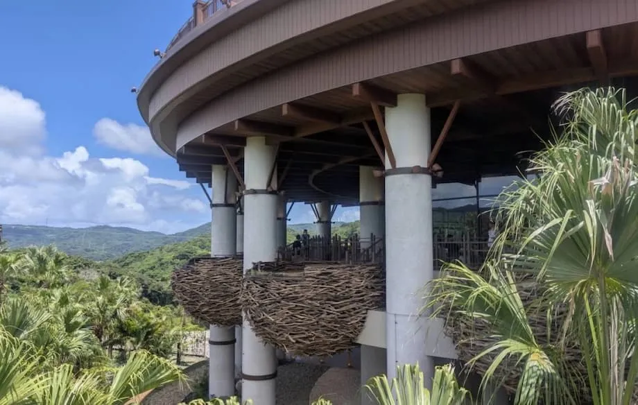 Junglia Opens in Okinawa With Dinosaur Adventures, Tourism Ambitions and Early Challenges