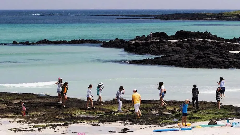Jeju Issues Multilingual Tourist Conduct Guide as Visitor Numbers and Complaints Rise