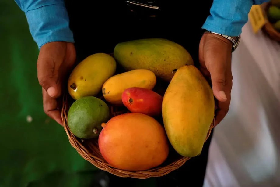 Indian Mango Trials Challenge Diabetes Restrictions, With Portions and Diet Planning Key