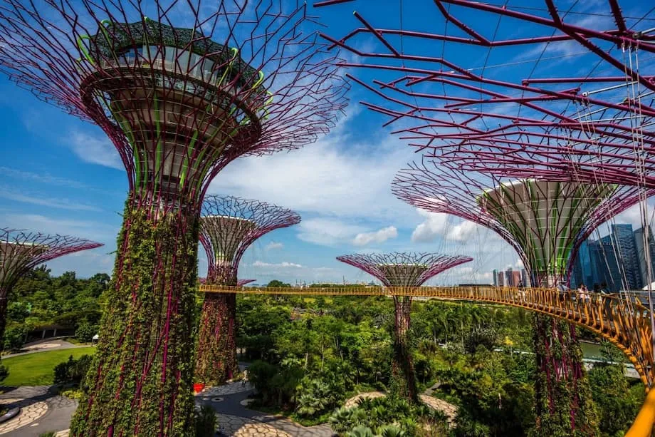 Asia's Coolcation Boom: How Rising Heat Is Changing Where People Travel
