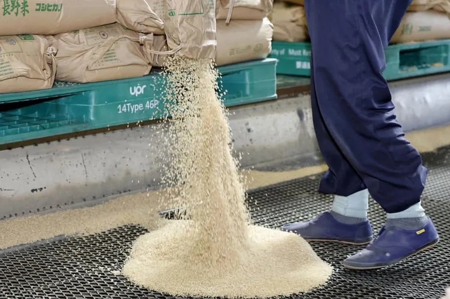 Japan's Food Squeeze Leaves More Than 90% of Low-Income Families Struggling to Feed Children