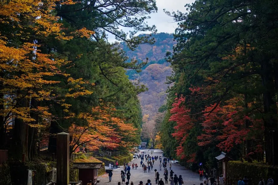 Five Places to See Japan's First Autumn Colors, From Mount Fuji to Nagano's Highlands