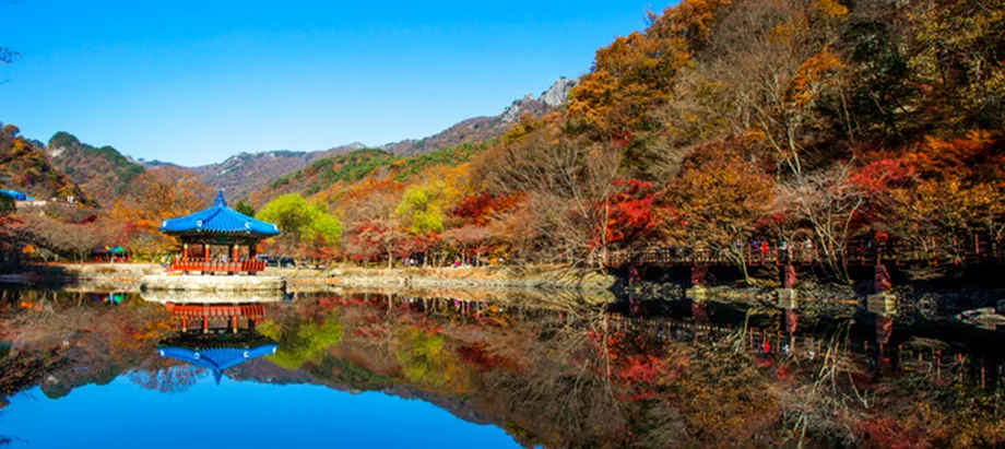 Korea Autumn Foliage 2025: Peak Dates, Mountain Walks and Travel Planning