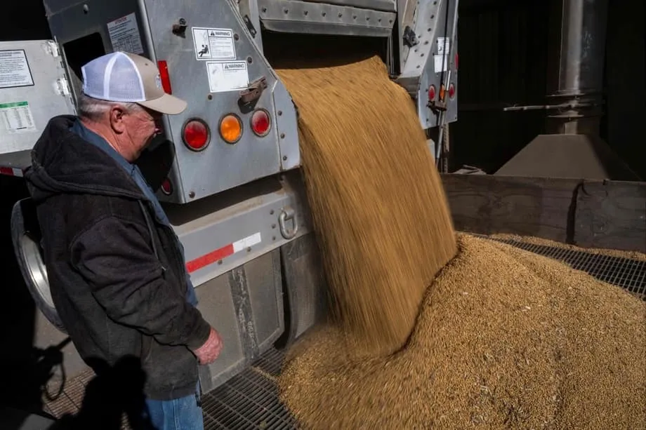 China Imports No US Soybeans in September as South America Takes the Lead
