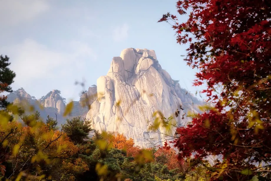 Seoul Autumn Hikes by Subway: Nine Routes for Fall Color, Temples and City Views