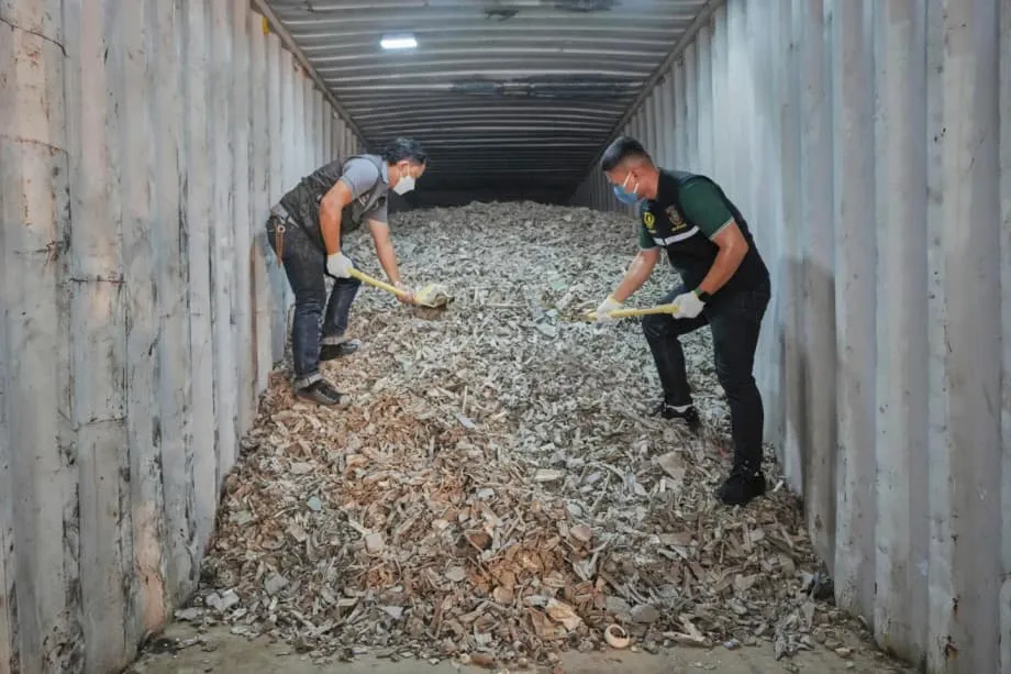 US Electronics Waste Exports Push Pollution Costs onto Southeast Asia
