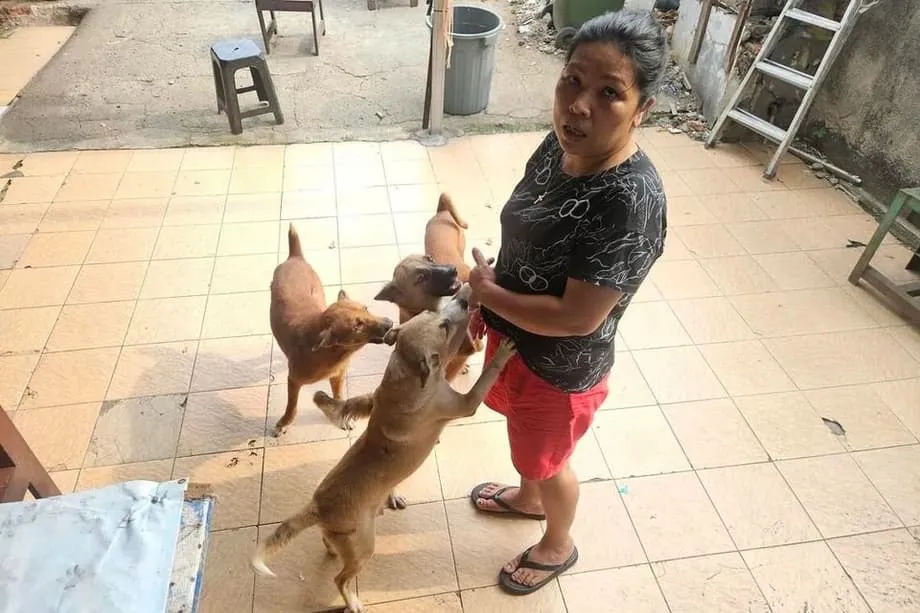 Jakarta Plans Dog and Cat Meat Ban to Protect Public Health and Animal Welfare