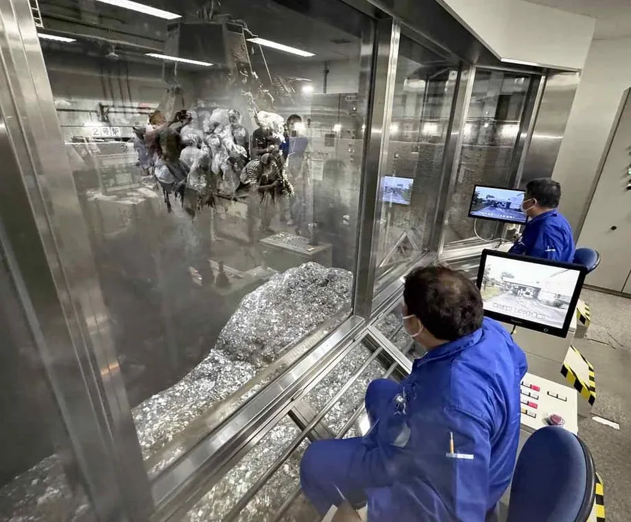 Inside Tokyo's Restricted Tours, From Haneda Airport to Toyosu Market
