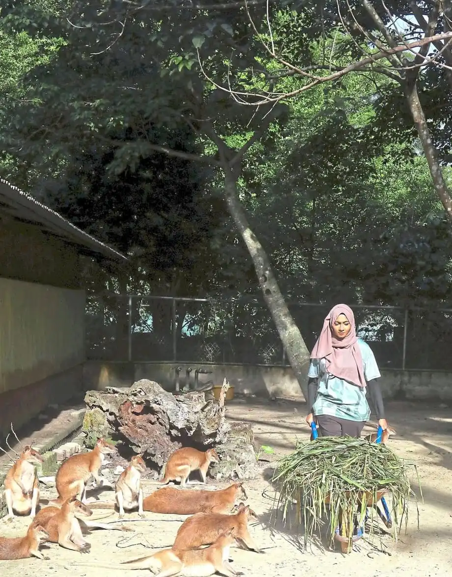 Zoo Negara's KeeperKu Gives Students a Morning of Animal Care and Conservation