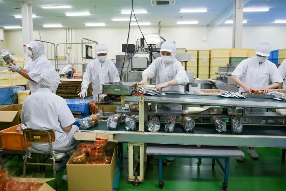 Foreign Populations Double in 10 Japanese Prefectures as Regional Jobs Draw New Residents