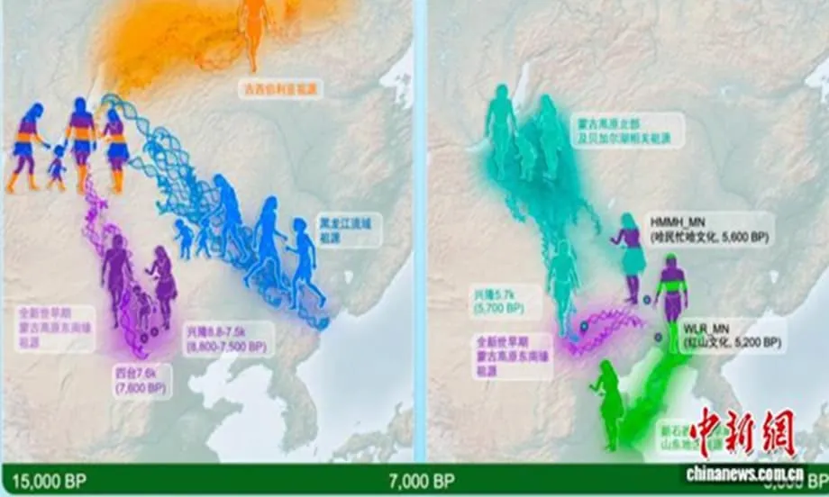Ancient DNA Reveals Family Households at the Heart of Early East Asian Society