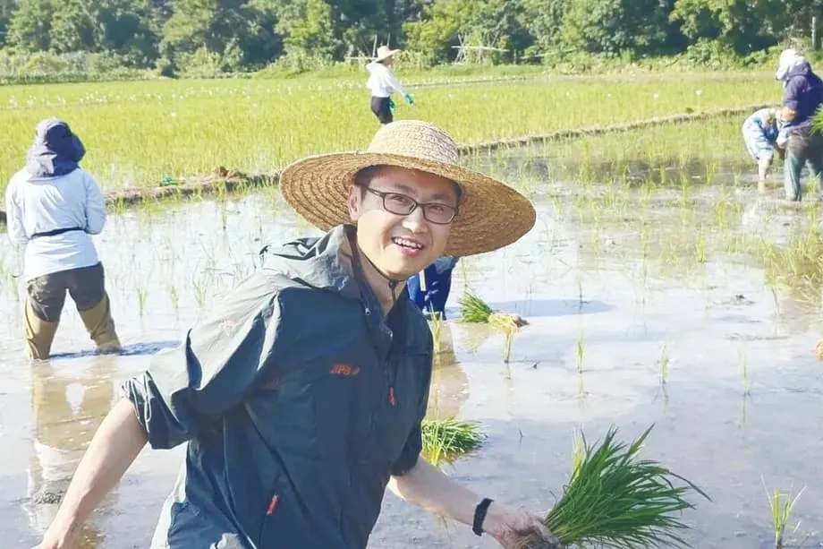 China's Clonal Hybrid Rice Advance Brings Reusable High Yield Seeds Closer