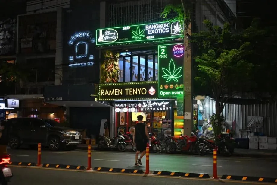 Thailand's Cannabis Reversal Puts Public Health, Small Businesses and Medical Access in Conflict
