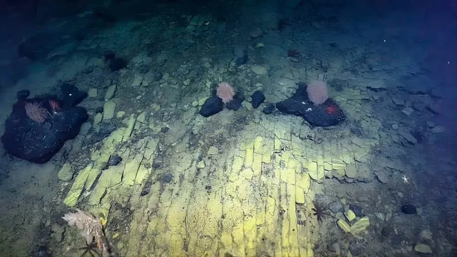 Pacific Seafloor's Yellow Brick Road Reveals a Volcanic Past and an Ocean Barely Seen