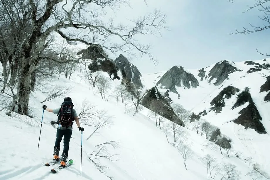 Hokkaido Rescue Surge Puts Foreign Skiers, Safety Rules and Public Costs Under Scrutiny