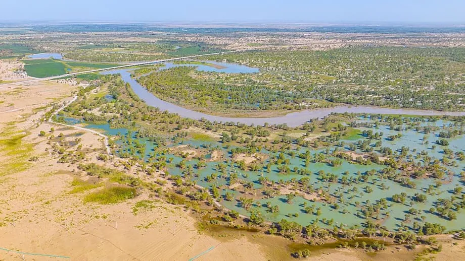 China's Great Green Wall Turns Taklamakan Desert Margins Into a Carbon Sink