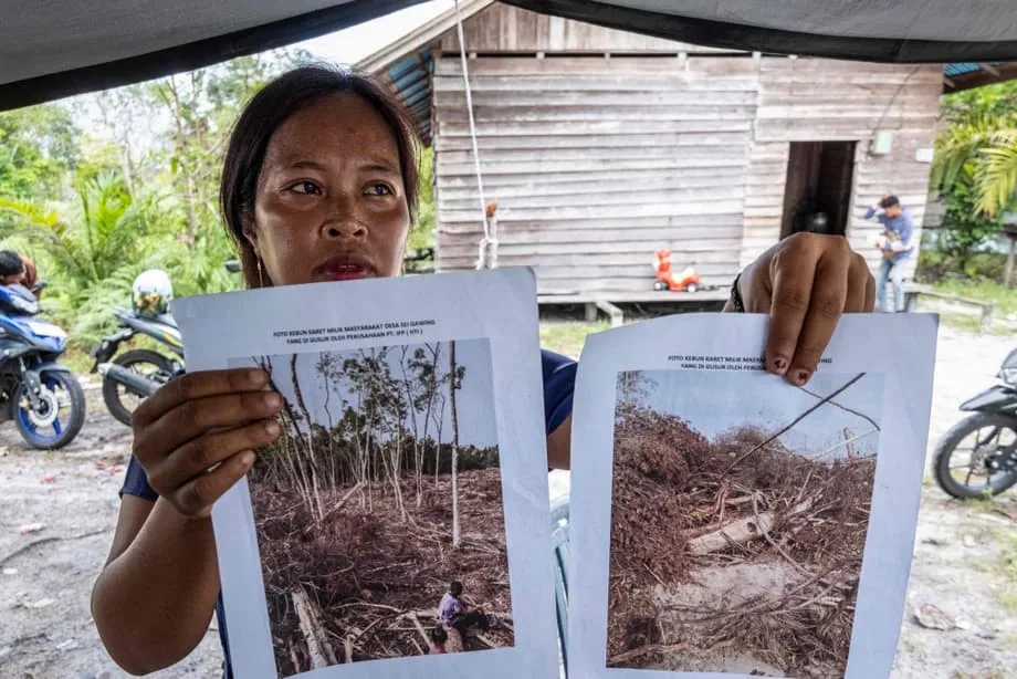 Haleon Cuts Asia Symbol Ties After Investigation Links Packaging Supply Chain to Borneo Forest Loss
