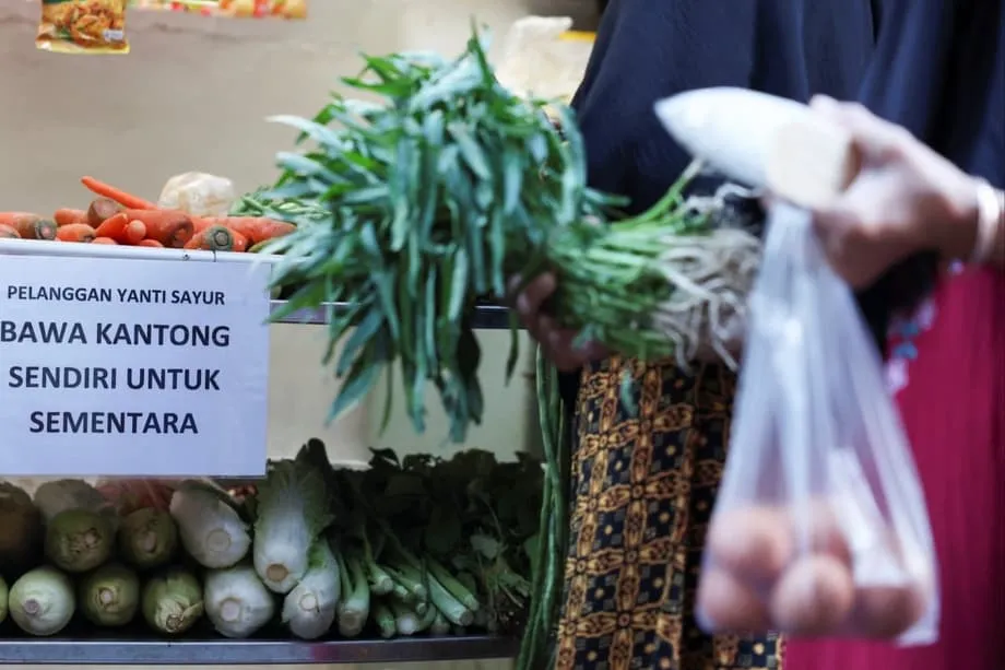 Indonesia's Plastic Packaging Shock Squeezes Small Businesses and Puts Pressure on 8% Growth Goal