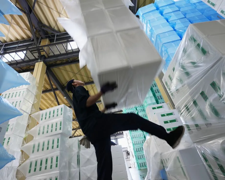Japan's Naphtha Shortage Reaches Food Shops, Housing and Schools as Hormuz Blockade Bites