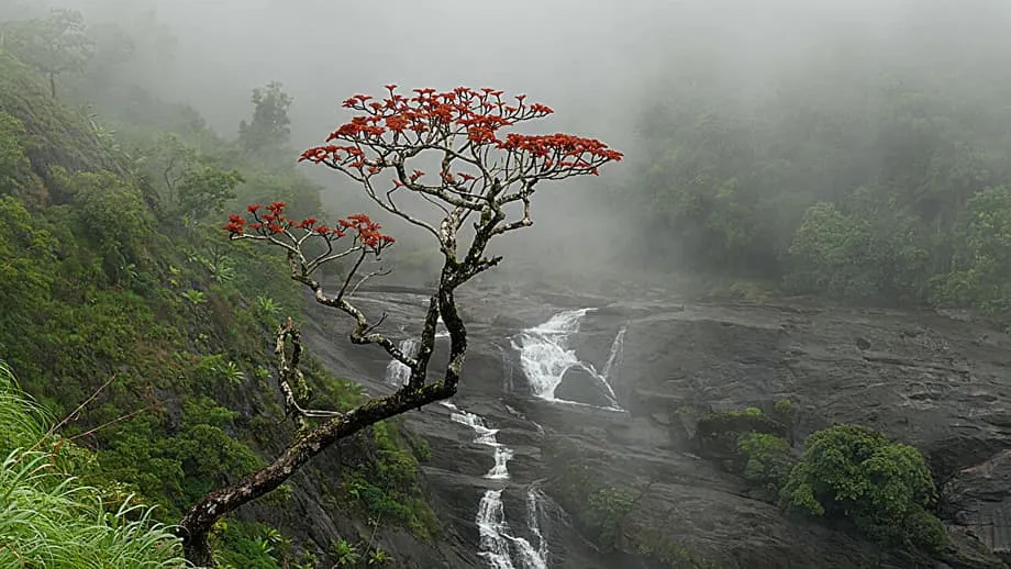 Atlantic Cold Blob Drives Unprecedented Shift in Indian Monsoon Patterns