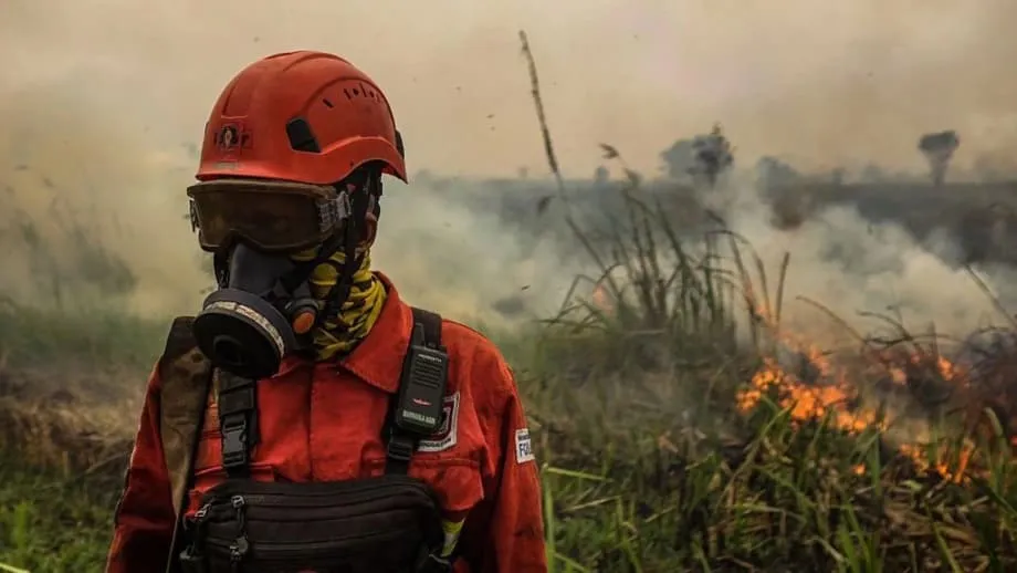 Indonesia's Wildfire Haze Spreads Across Southeast Asia as El Niño Deepens Health and School Crisis
