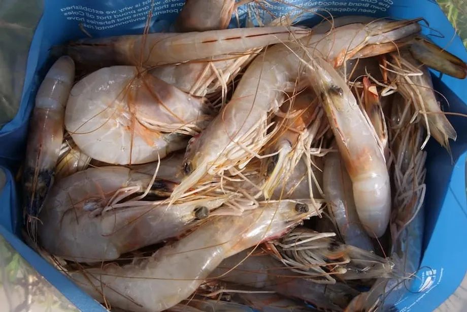 Indonesia's Radiation Probe Traces Contaminated Shrimp, Cloves and Sneakers to Scrap Metal