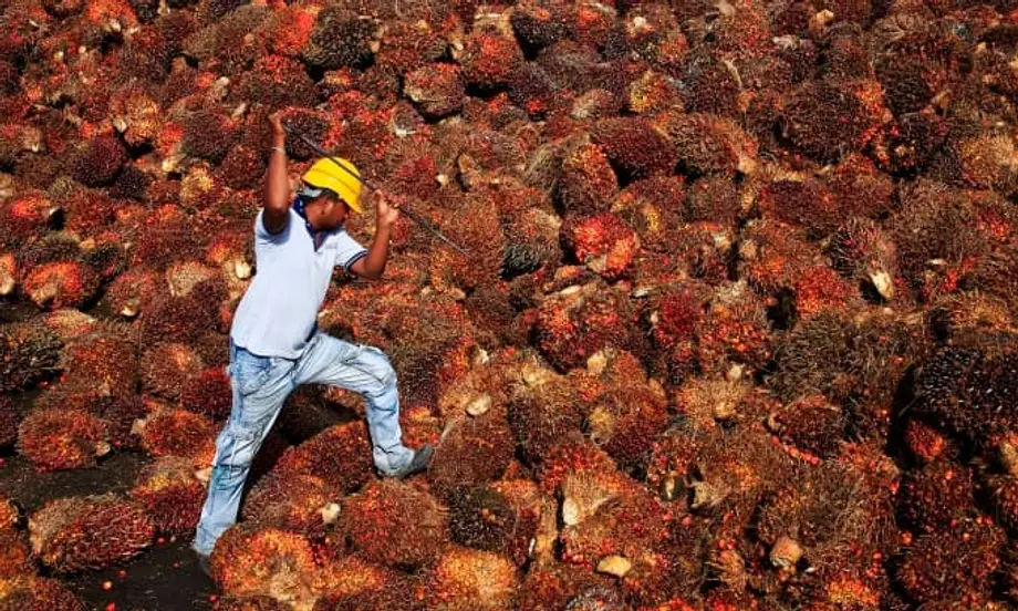 Malaysia Seeks China Palm Oil Trade Reset as Cheaper Soybean Oil Draws Buyers Away