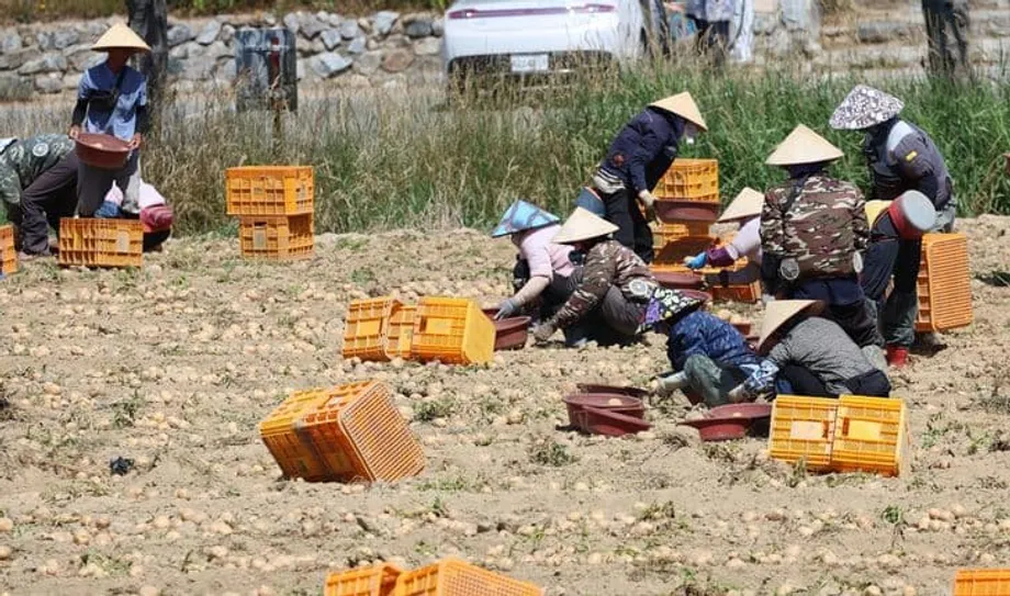 South Korea Turns to Immigration, but More Foreign Workers Cannot Halt Population Decline