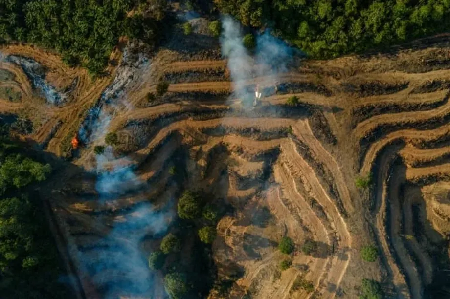 Indonesian Palm Oil Fraud Probe Connects Suspect Suppliers to Eni and Neste