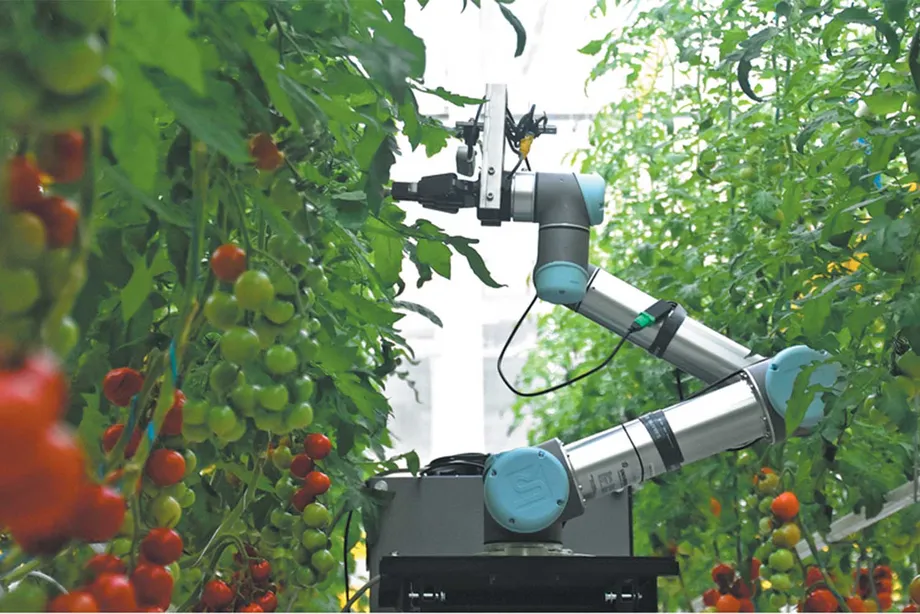 China’s Smart Farm Revolution Moves From Breeding Labs to Harvest Fields