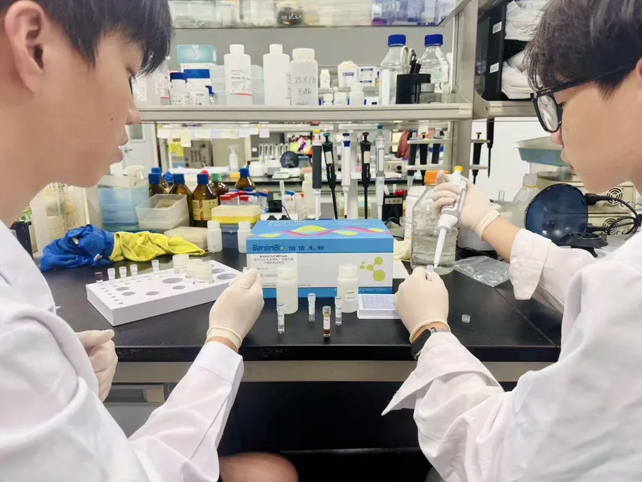 China’s Gastric Cancer Care Gaps Extend From Late Diagnosis to Nutrition and Target Testing