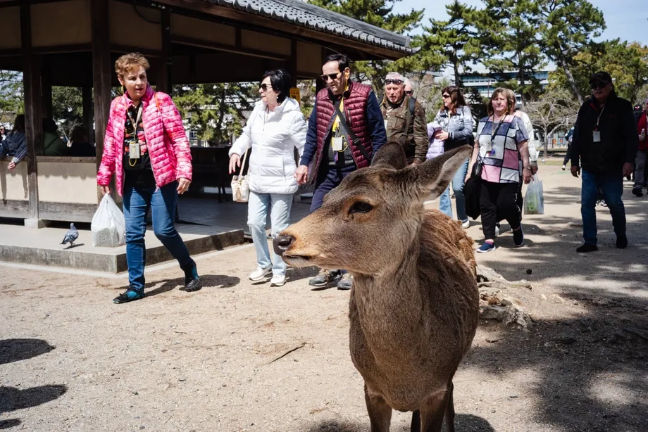 Japan Records 3.1 Million August Visitors as China Slump Outweighs Growth in Other Markets
