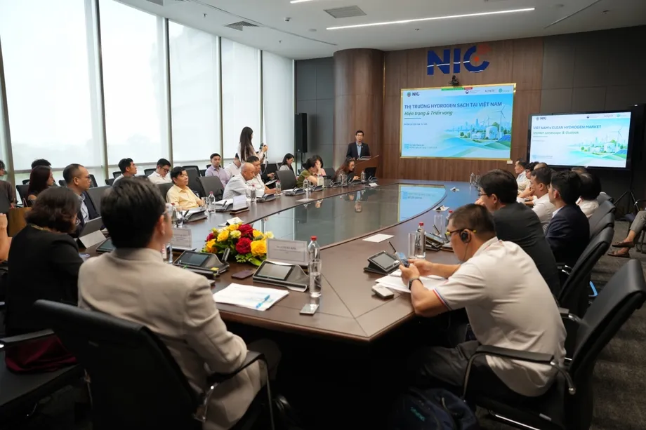 Vietnam's Clean Hydrogen Ambitions Face a Test of Costs, Buyers and Project Readiness