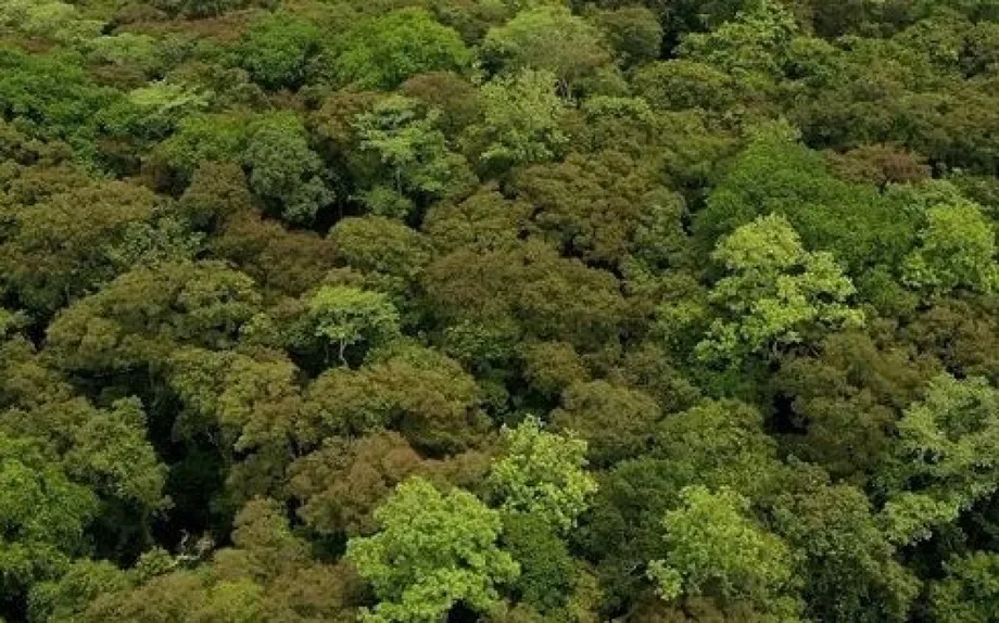 Vietnam Builds Carbon Market to Turn Verified Emissions Cuts Into Green Finance