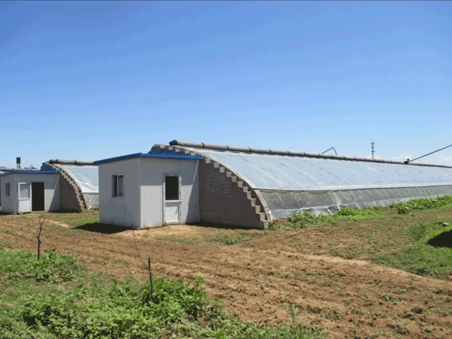 Tongliao's 120 Million Yuan Agriculture Project Stalls as Fraud Case Reaches Prosecutors