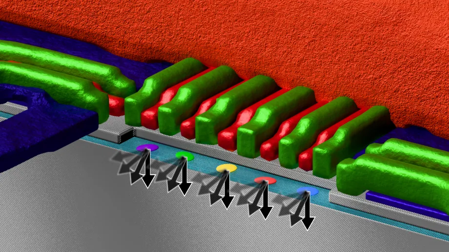 RIKEN Controls Five Silicon Qubits Through One Shared Microwave Line With High Accuracy