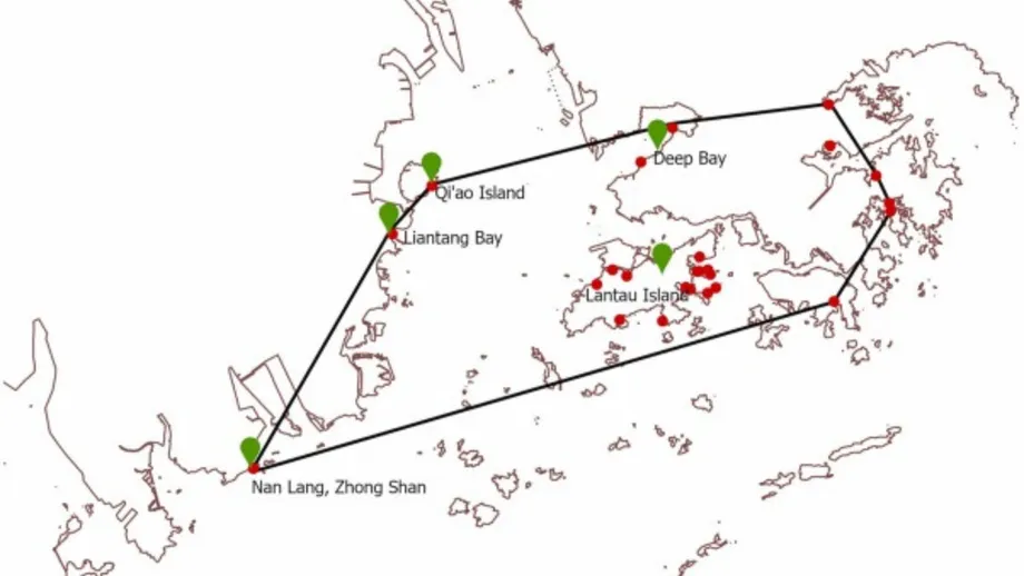 Hong Kong Oyster Reefs Assessed as Critically Endangered After 99.96% Decline