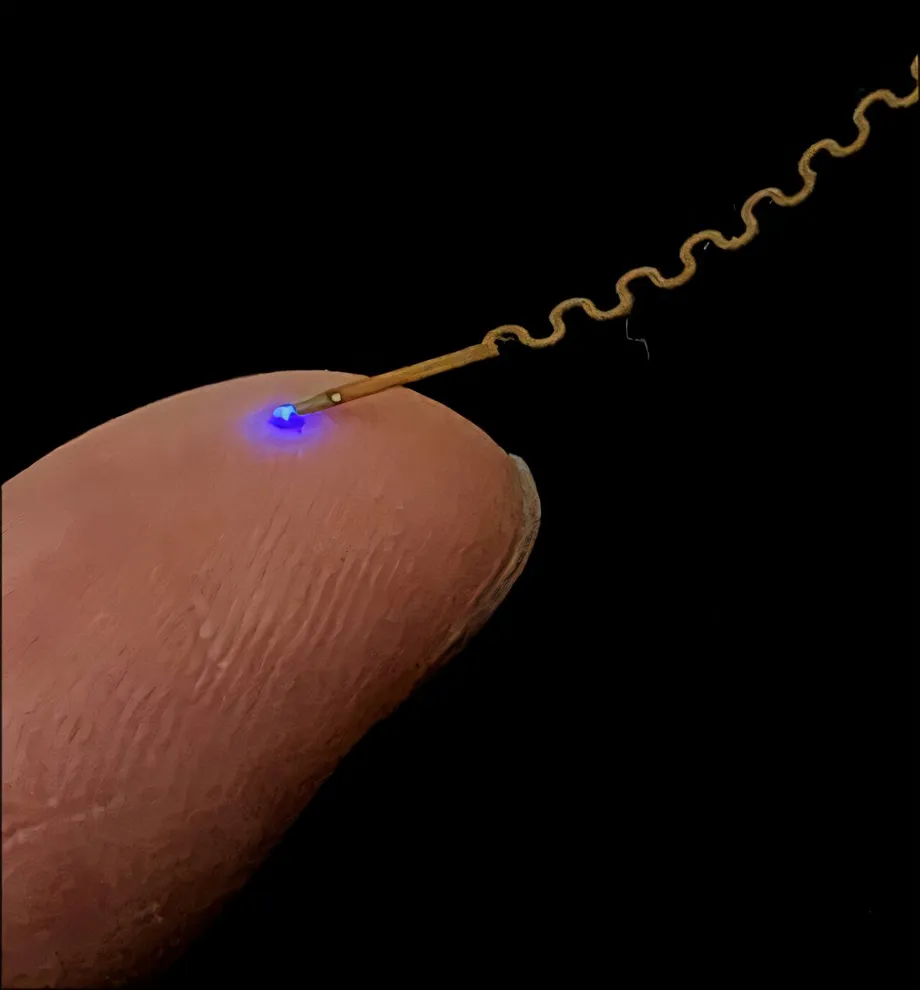 KAIST Wireless Brain Chip Tracks Alzheimer's Drug Response in Minipigs