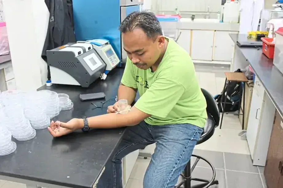 Malaysian Scientists Recover Human DNA From Bed Bugs Up to 45 Days After Feeding