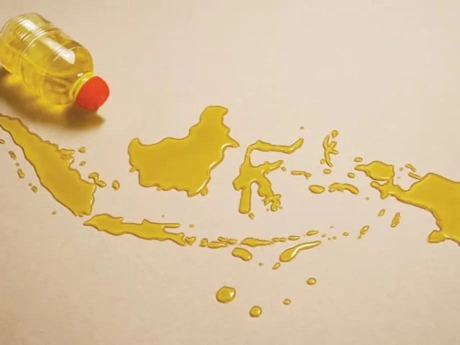 How Indonesian Palm Oil Supports Pakistan's Food Supply and Cooking Oil Prices