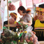 Bac Giang lychees present in 30 countries and territories