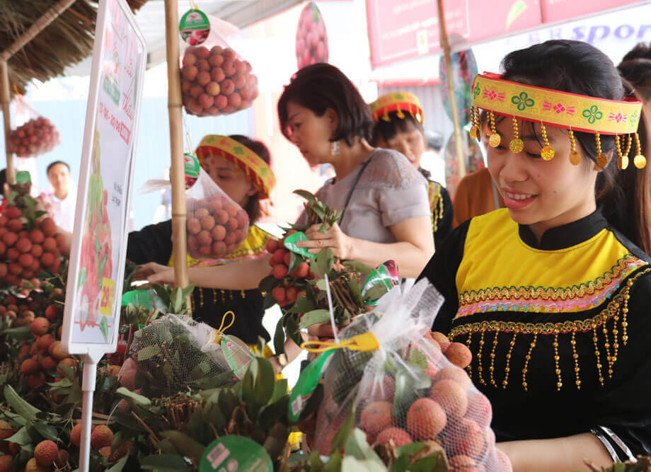 Bac Giang lychees present in 30 countries and territories