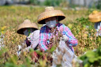 Xi's food self-sufficiency call marks latest turn inward