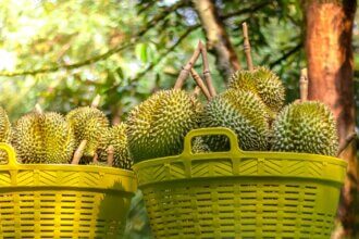 Malaysia’s durian exporters see spike in demand from China | DHL ...
