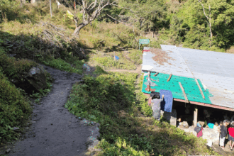 Experience the Healing Hot Springs of Chubu Tsachu in Punakha | Truly ...