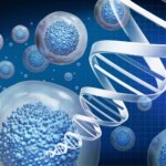 An RNA-Based Switch for Dialing Gene Therapy Up or Down