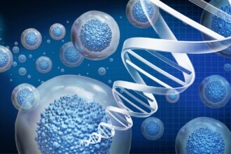 An RNA-Based Switch for Dialing Gene Therapy Up or Down