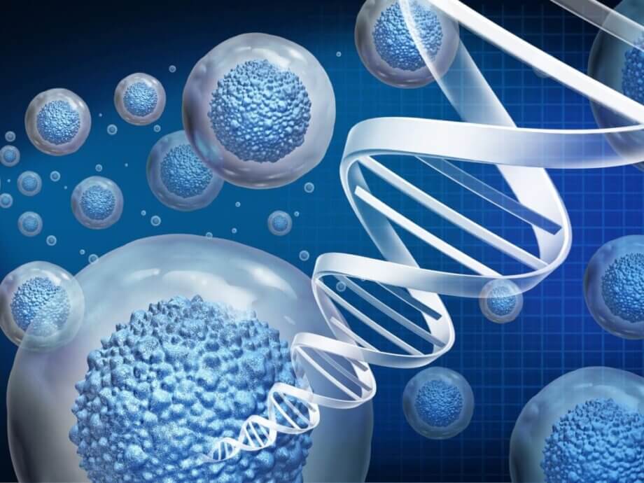 An RNA-Based Switch for Dialing Gene Therapy Up or Down