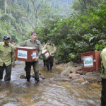 Save Vietnam's Wildlife - SVW - Save Vietnam's Wildlife