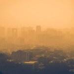 Ozone Pollution Costs Asia Billions of Dollars in Crop Losses: Study